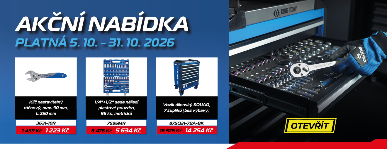 Akční nabídka